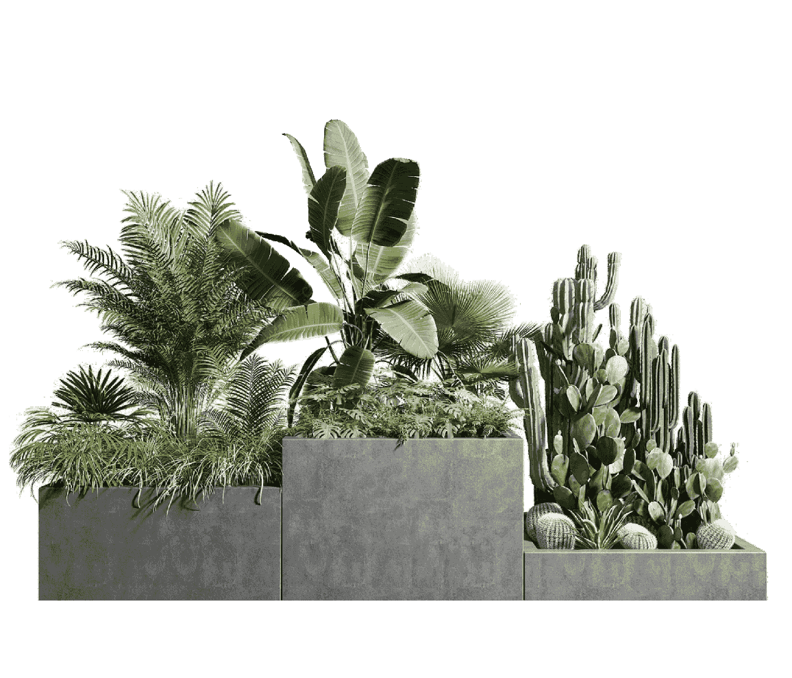 我們將重新定義盆栽